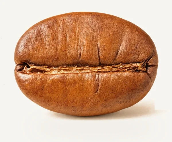 A single roasted specialty-grade coffee bean
